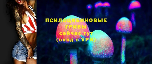 PSILOCYBIN Армянск