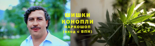 MESCALINE Аркадак