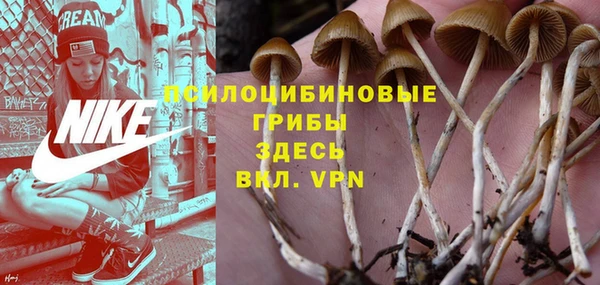 каннабис Арсеньев
