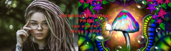 MESCALINE Аркадак
