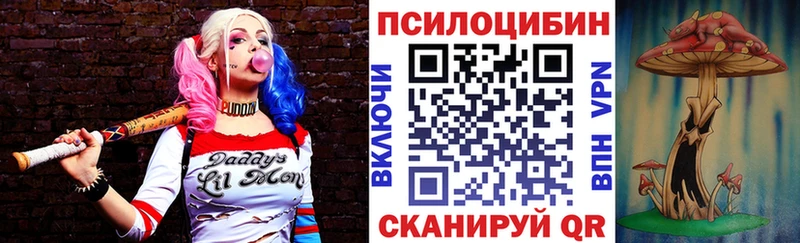 Псилоцибиновые грибы Cubensis  где можно купить   нарко площадка официальный сайт  Куйбышев 