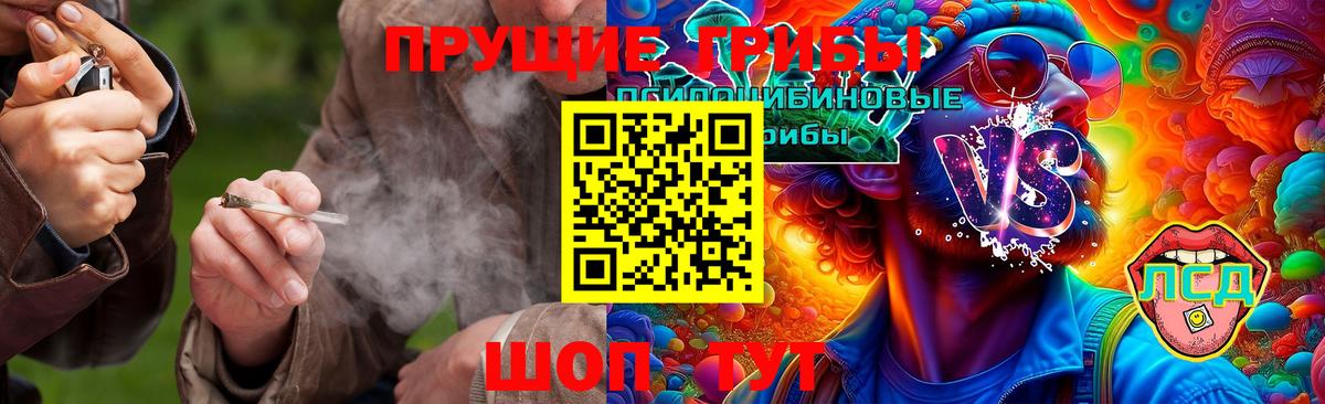 Куйбышев  Псилоцибиновые грибы Cubensis  Вход с VPN  Псилоцибиновые грибы GOLDEN TEACHER 