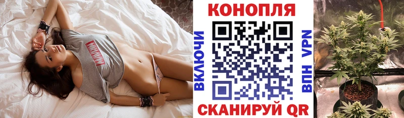 Бошки Шишки семена  закладка  Куйбышев 