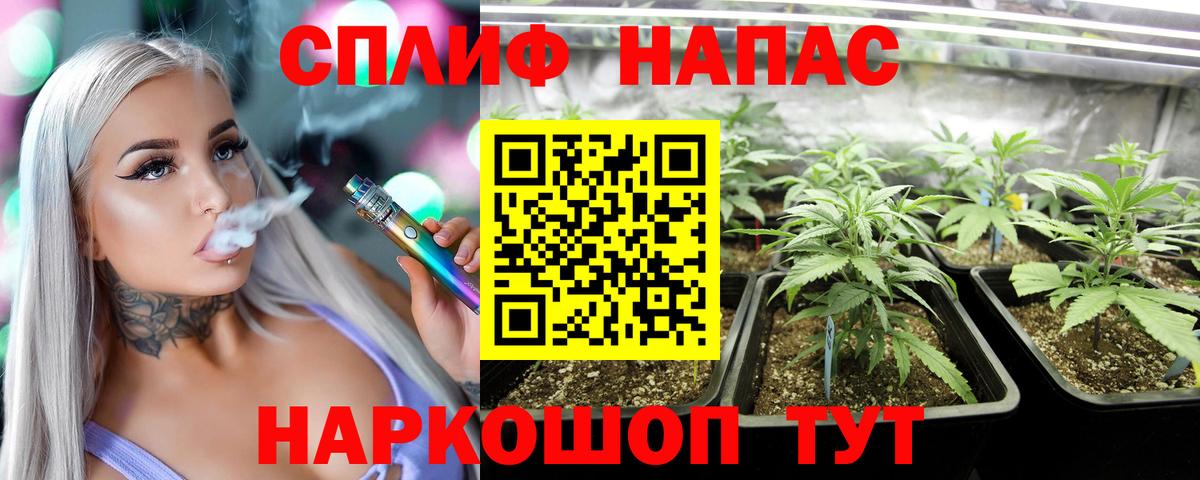 Бошки Шишки гибрид Куйбышев